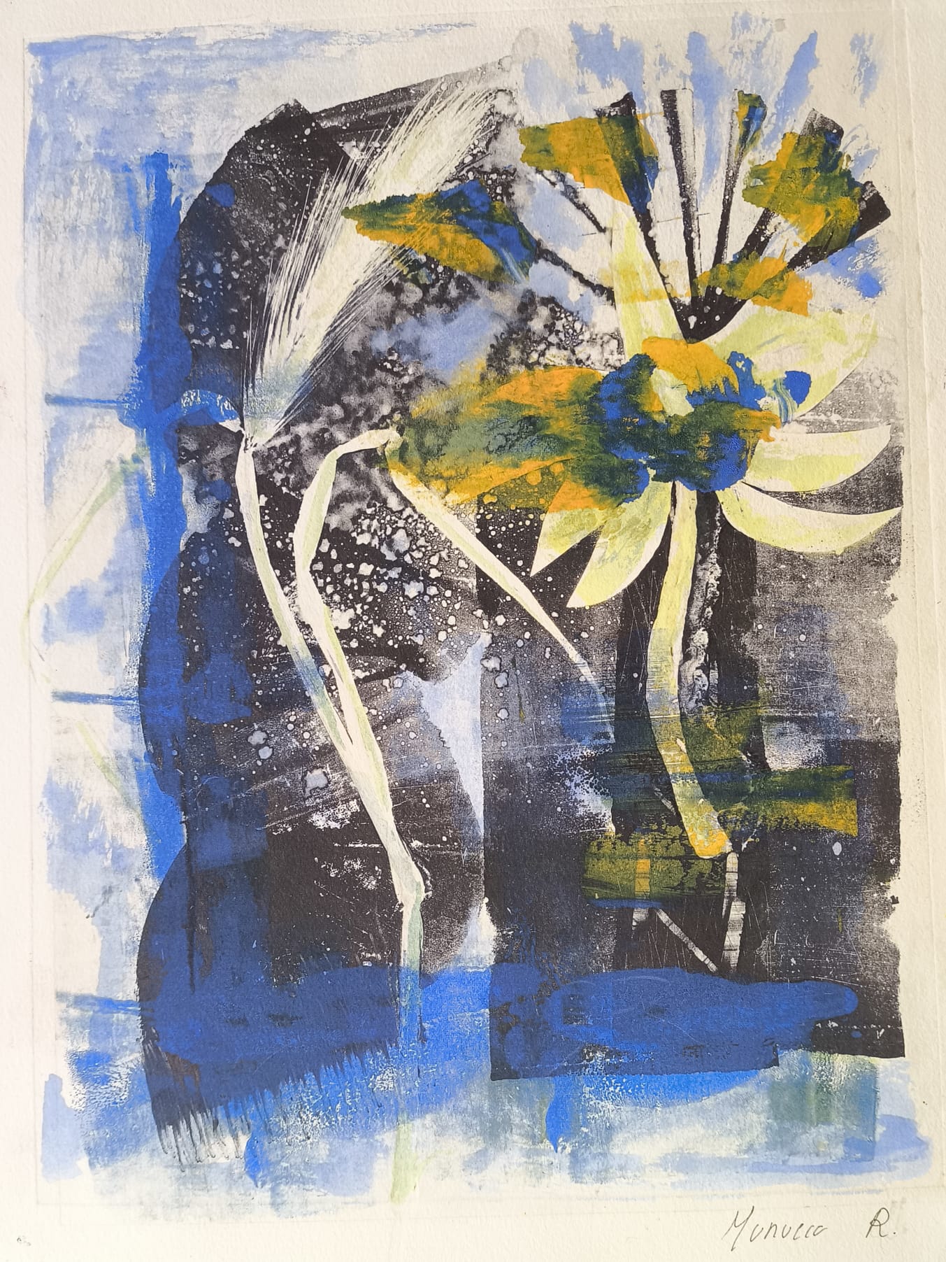 De mi amor hacia la naturaleza