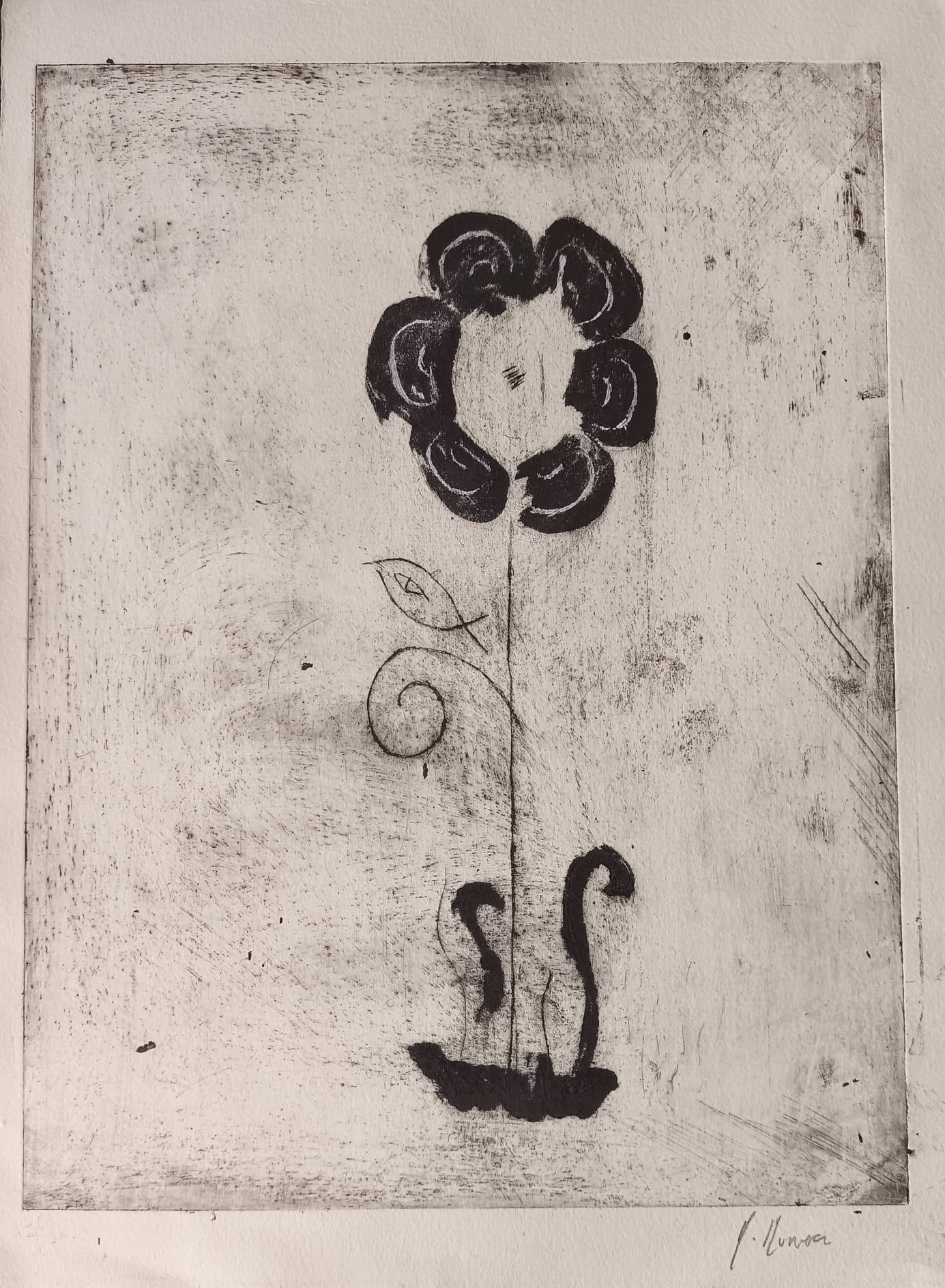 Como pez en una flor