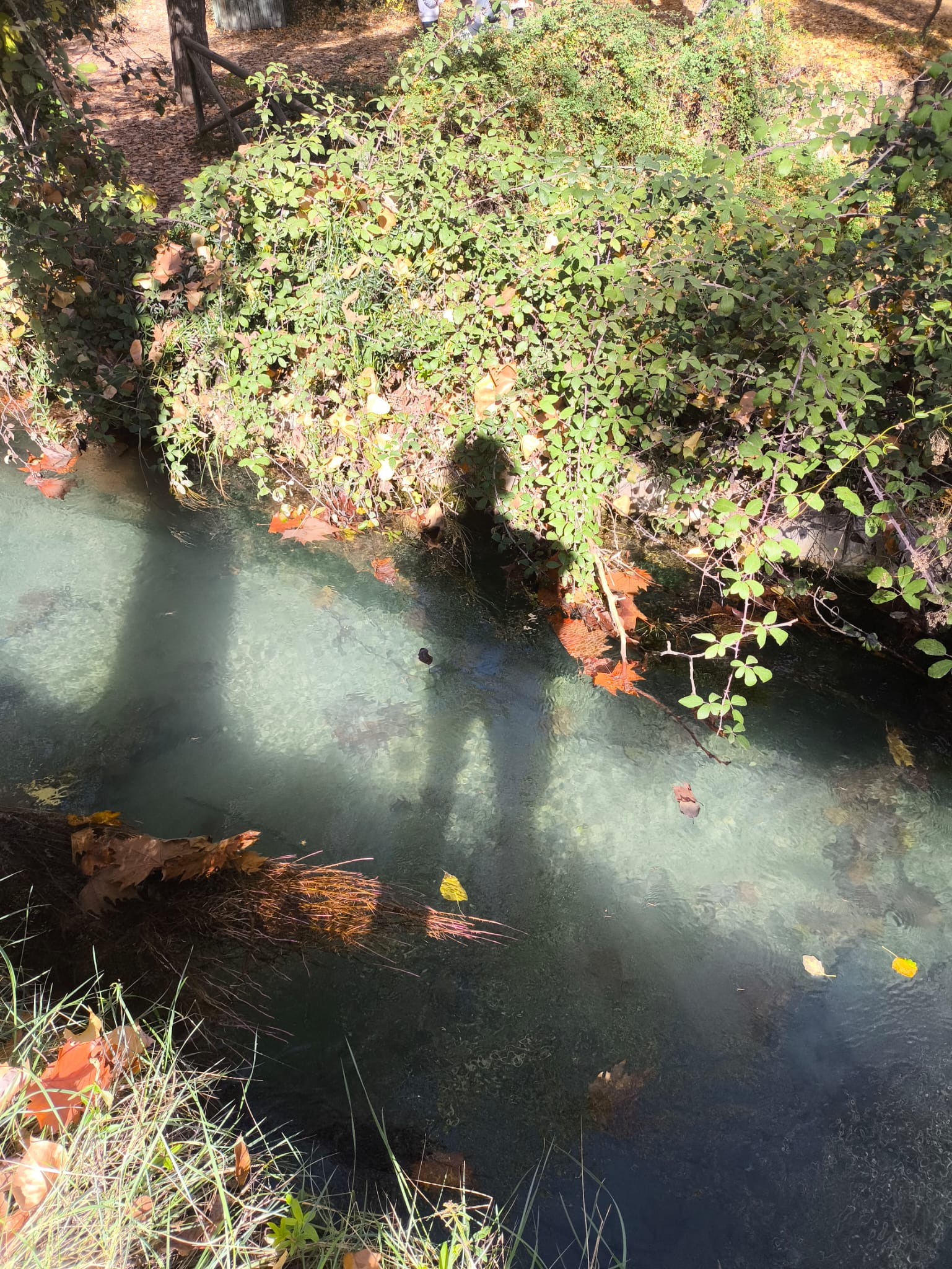 Foto de Maria Munuera Ruiz 3